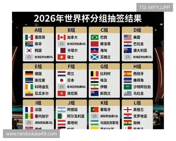 2026年世界杯新西兰与埃及比赛黄牌数情况全面解读与比赛影响