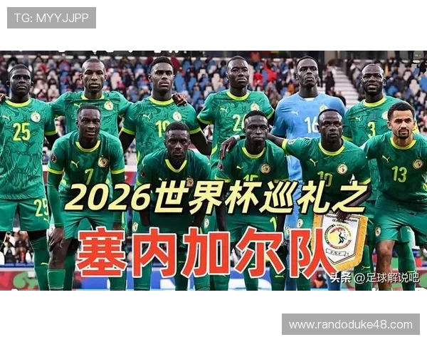 2026年世界杯法国VS塞内加尔比赛现场看球全攻略，提供最佳观赛位置与现场氛围体验指南